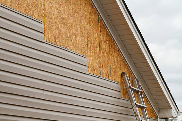 Professional Siding Repair technician working in Austin, MN